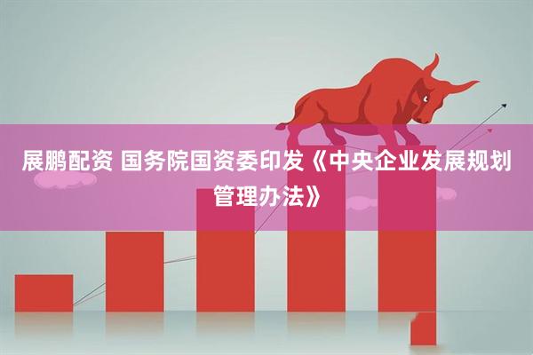 展鹏配资 国务院国资委印发《中央企业发展规划管理办法》
